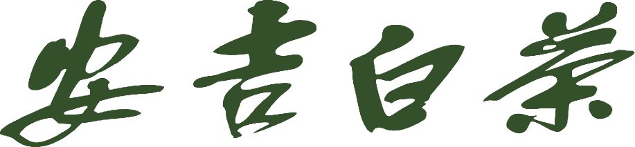 安吉白茶